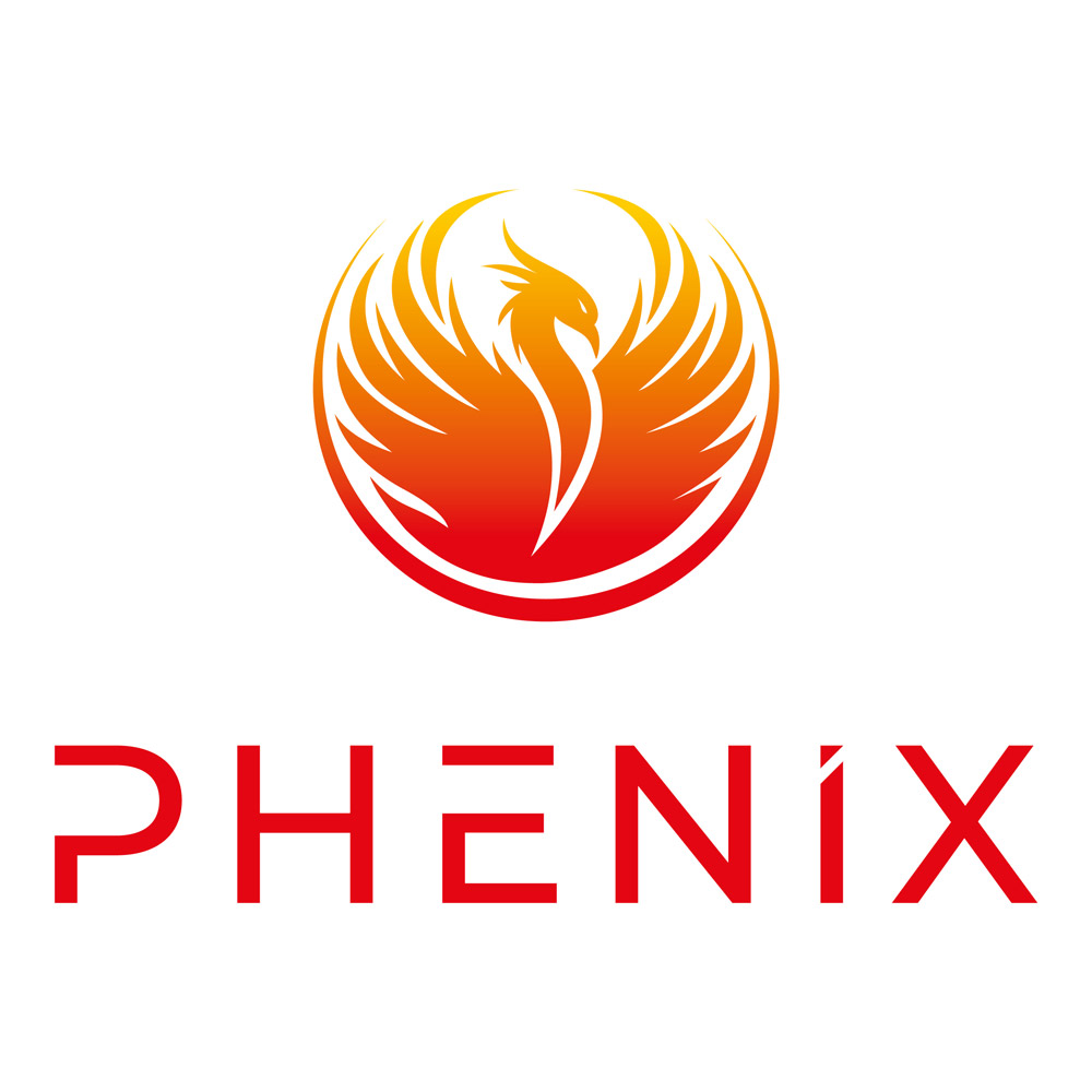 DJ-ane PheniX, Logo-Design